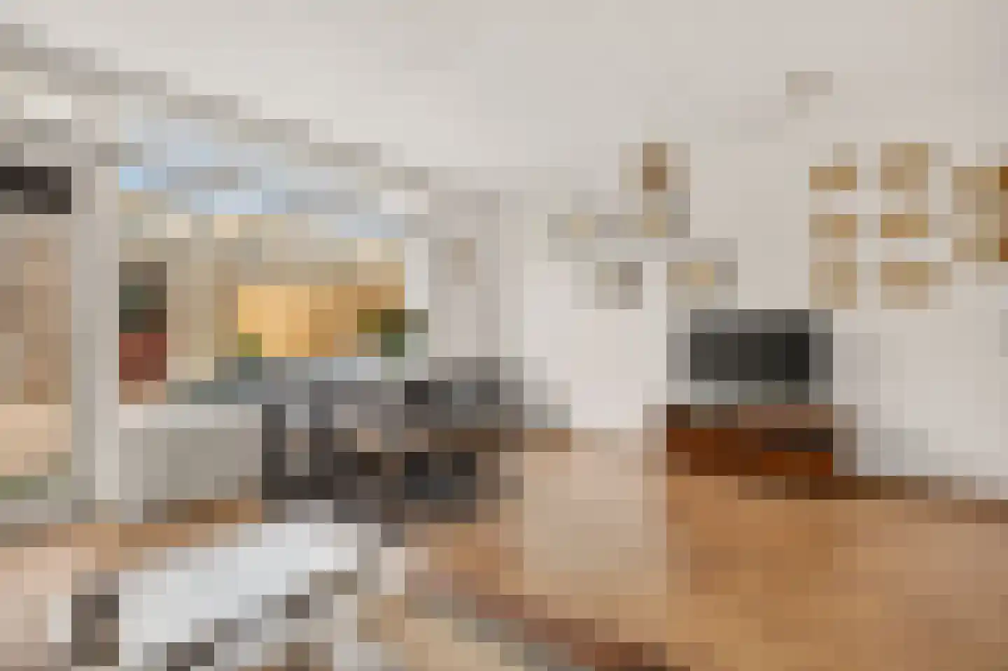 Tervurenpad 2 Amsterdam thumbnail 6
