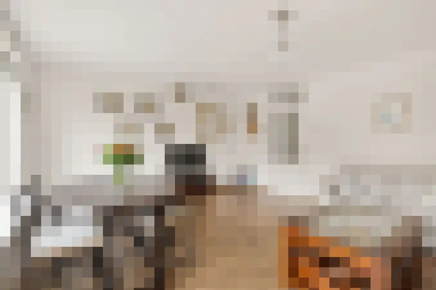 Tervurenpad 2 Amsterdam thumbnail 7
