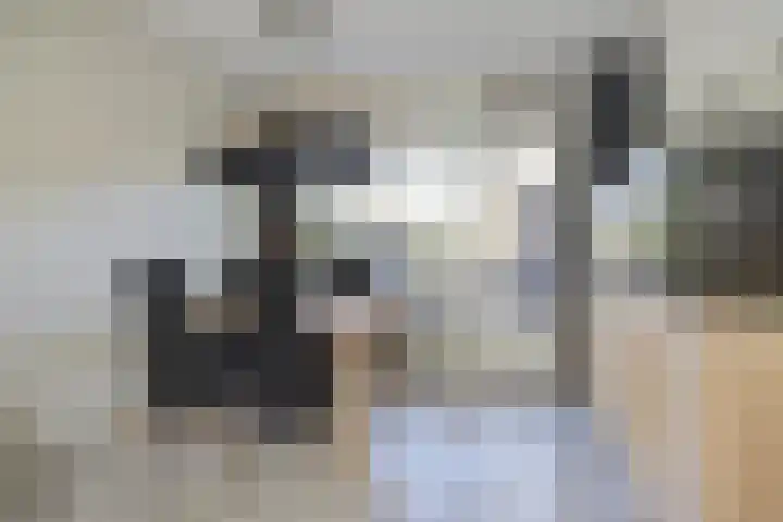 Terwaanstraat 20 Etten-Leur thumbnail 11