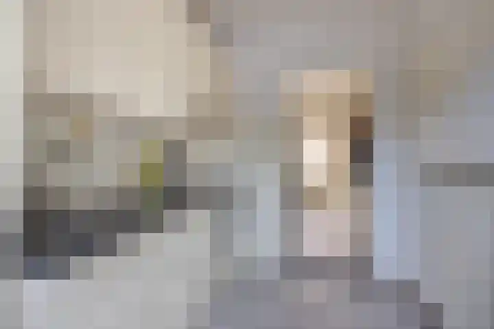 Terwaanstraat 20 Etten-Leur thumbnail 15