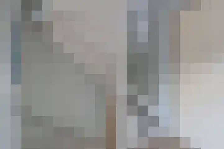 Terwaanstraat 20 Etten-Leur thumbnail 17