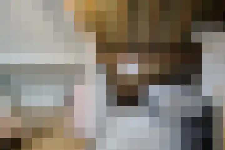 Terwaanstraat 20 Etten-Leur thumbnail 27