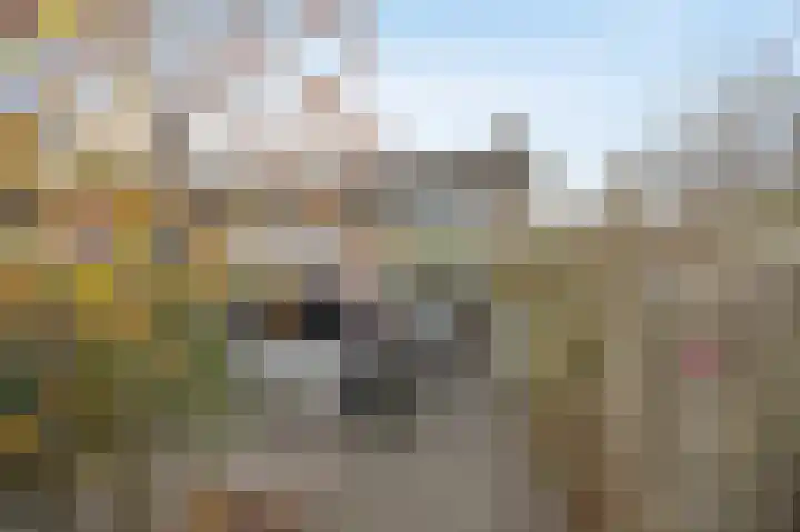Terwaanstraat 20 Etten-Leur thumbnail 33