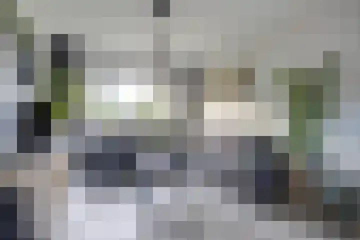 Terwaanstraat 20 Etten-Leur thumbnail 8