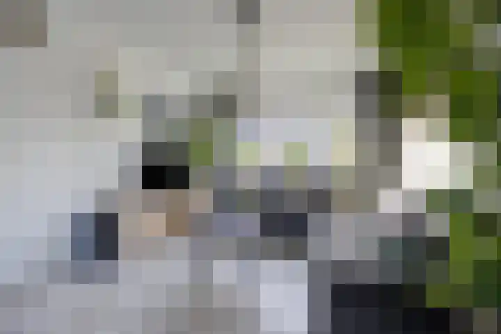 Terwaanstraat 20 Etten-Leur thumbnail 9