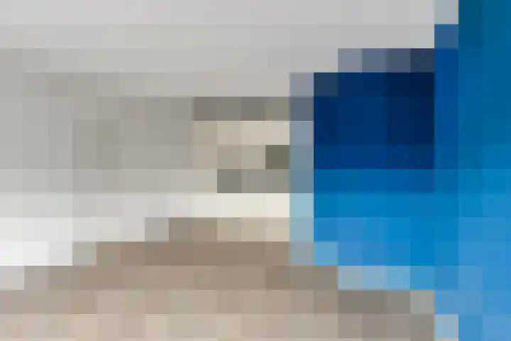 Terwaenen 27 Oss thumbnail 13