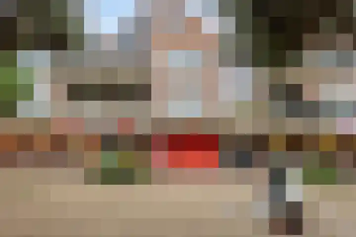 Terwaenen 27 Oss foto 2