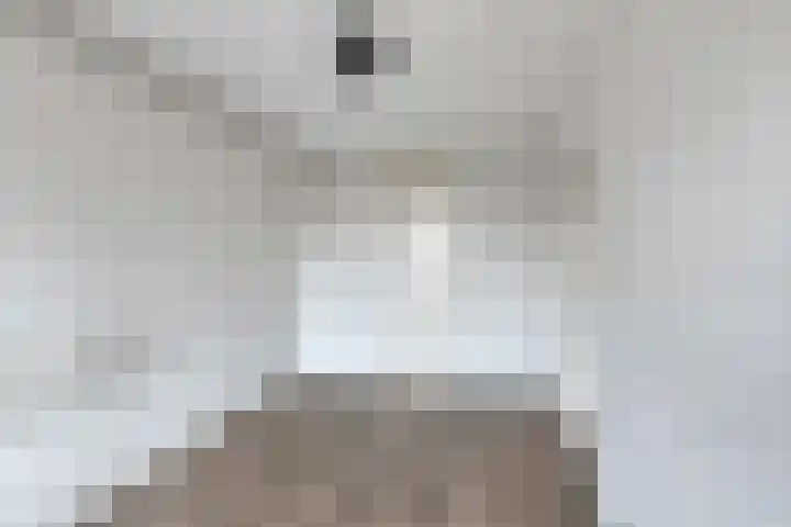 Terwaenen 27 Oss thumbnail 20