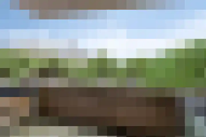 Terwaenen 27 Oss thumbnail 23