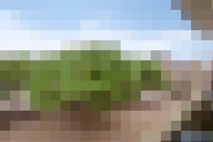 Terwaenen 27 Oss thumbnail 25