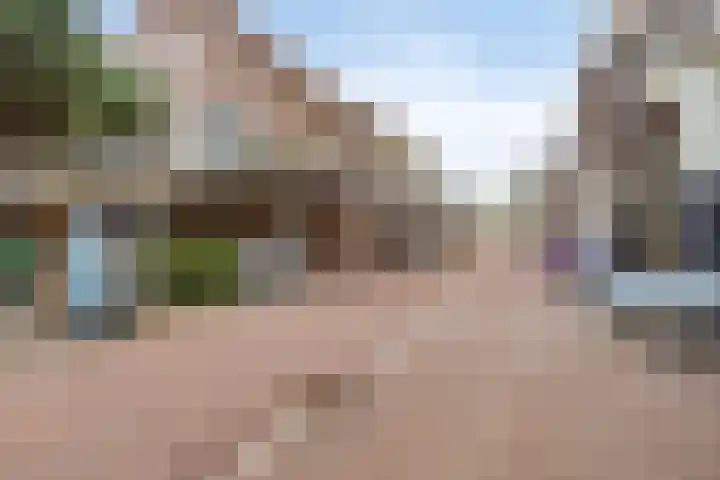 Terwaenen 27 Oss thumbnail 26