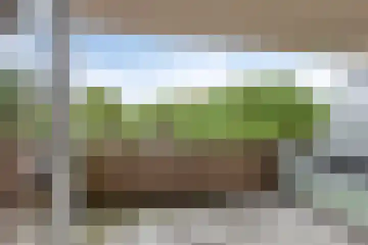 Terwaenen 27 Oss thumbnail 5