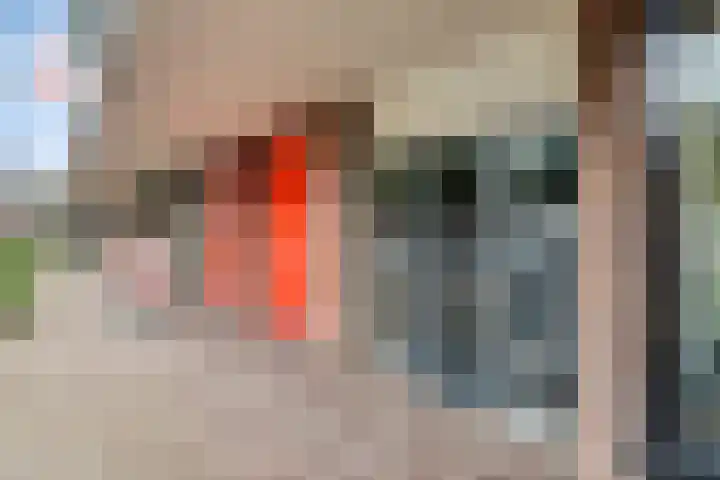 Terwaenen 27 Oss thumbnail 6