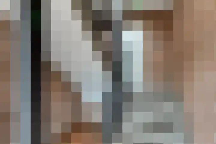Terwaenen 27 Oss thumbnail 7