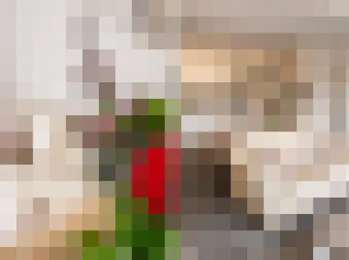 Terwaenen 33 Oss thumbnail 10