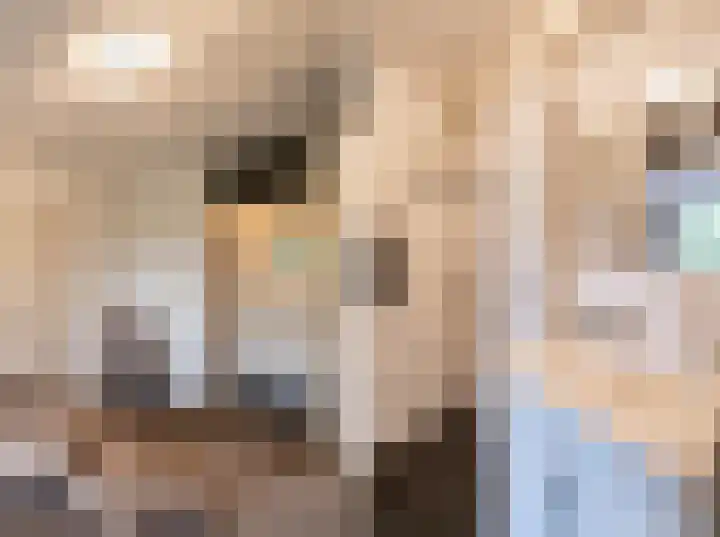 Terwaenen 33 Oss thumbnail 12