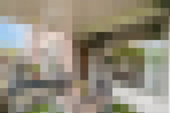 Terwaenen 33 Oss thumbnail 15