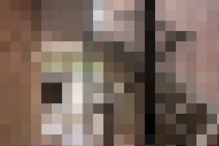 Terwaenen 33 Oss thumbnail 18
