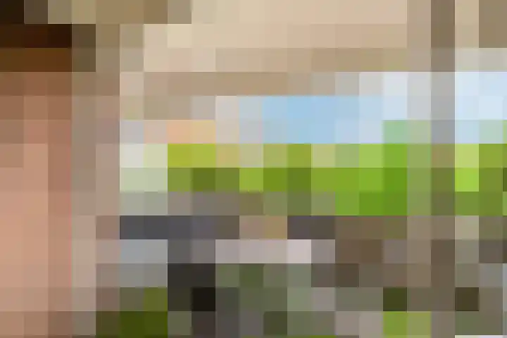 Terwaenen 33 Oss thumbnail 4
