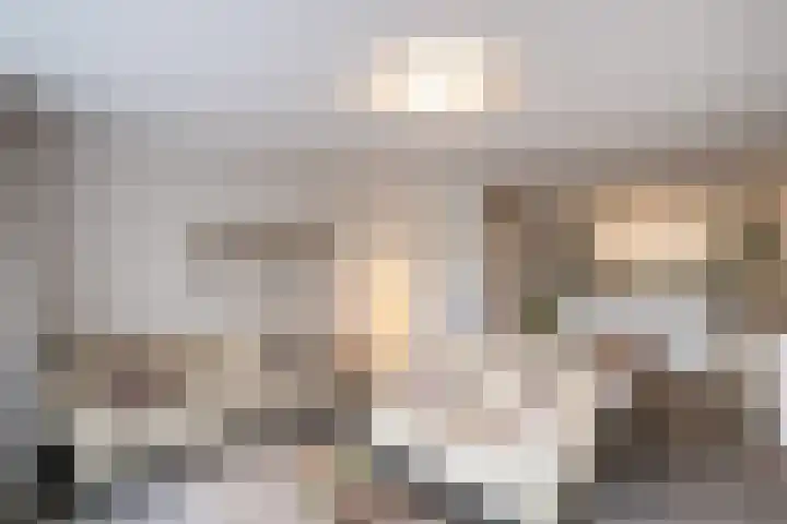 Terwaenen 33 Oss thumbnail 9