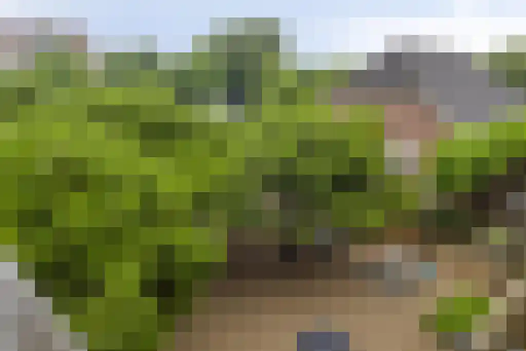 Terwaenen 35 Oss thumbnail 11