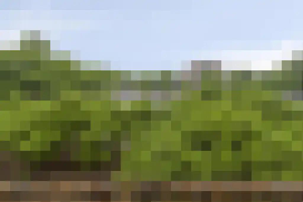 Terwaenen 35 Oss thumbnail 12