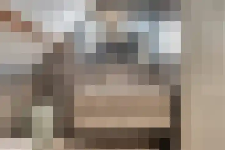 Terwaenen 35 Oss foto 2