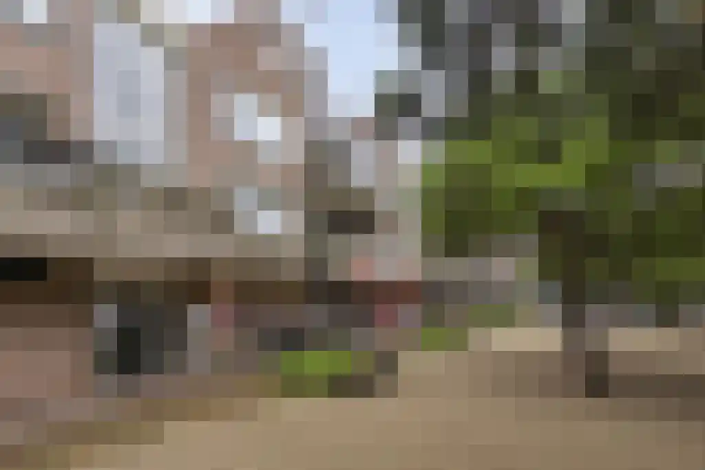 Terwaenen 35 Oss thumbnail 22