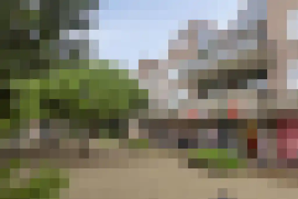 Terwaenen 35 Oss thumbnail 23