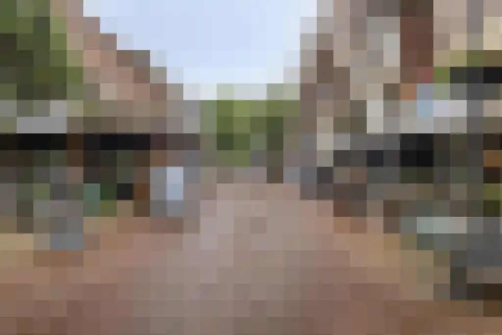 Terwaenen 35 Oss thumbnail 24