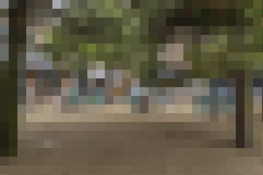 Terwaenen 35 Oss thumbnail 25