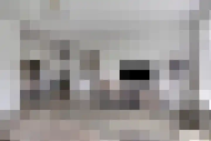 Terwaenen 35 Oss thumbnail 4