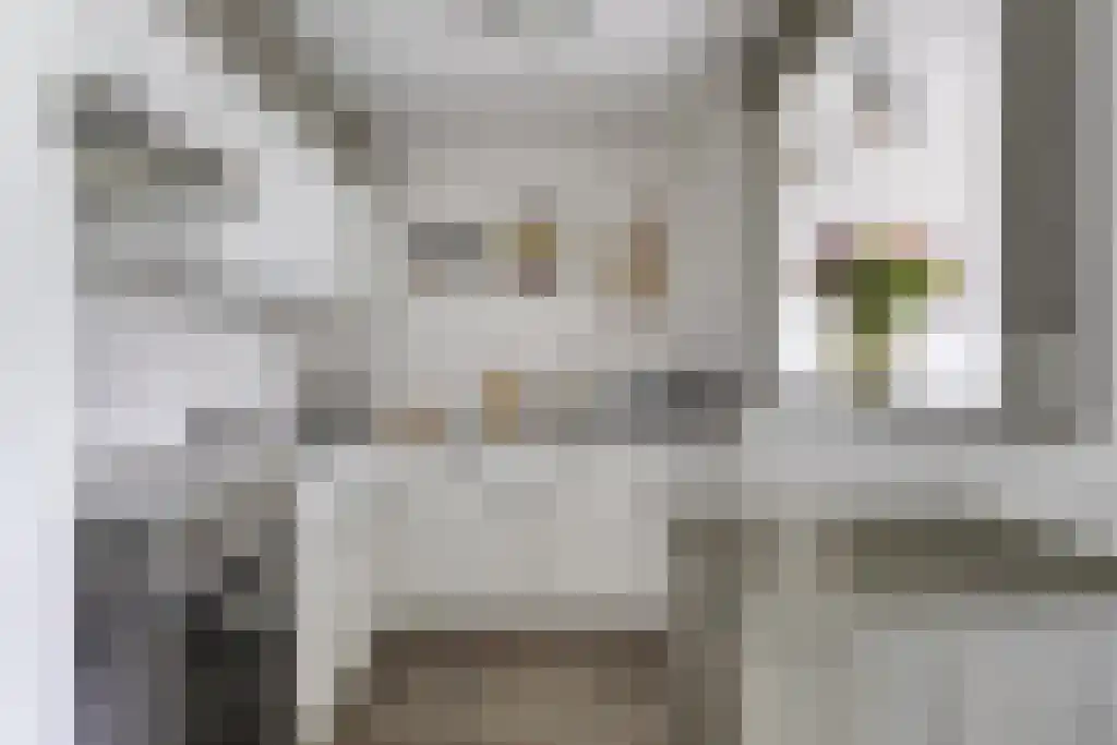 Terwaenen 35 Oss thumbnail 6