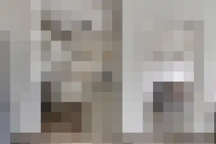Terwaenen 35 Oss thumbnail 6