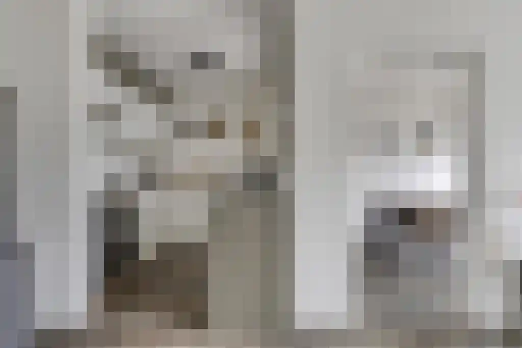 Terwaenen 35 Oss thumbnail 7