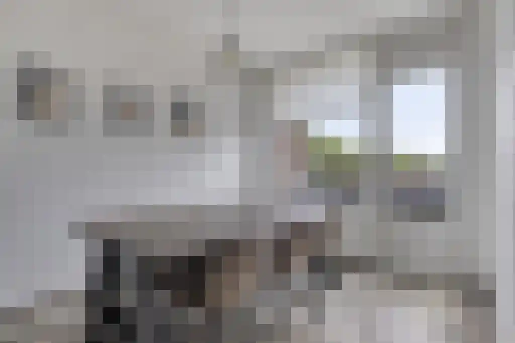 Terwaenen 35 Oss thumbnail 9