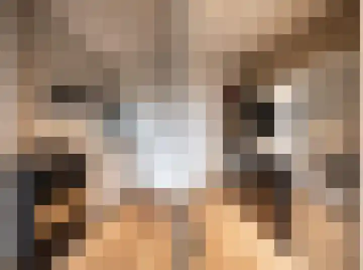 Terwaenen 36 Oss thumbnail 11