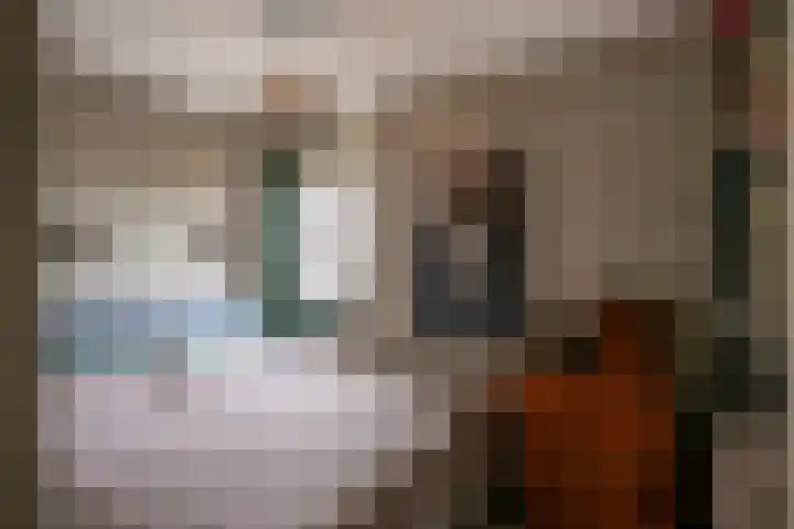 Terwaenen 36 Oss thumbnail 12