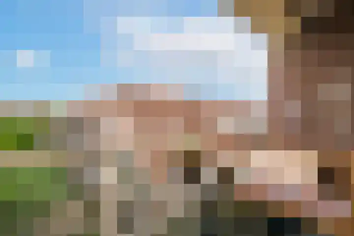 Terwaenen 36 Oss thumbnail 14