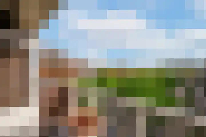 Terwaenen 36 Oss thumbnail 15