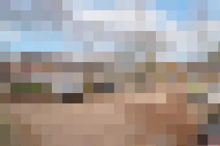 Terwaenen 36 Oss thumbnail 19