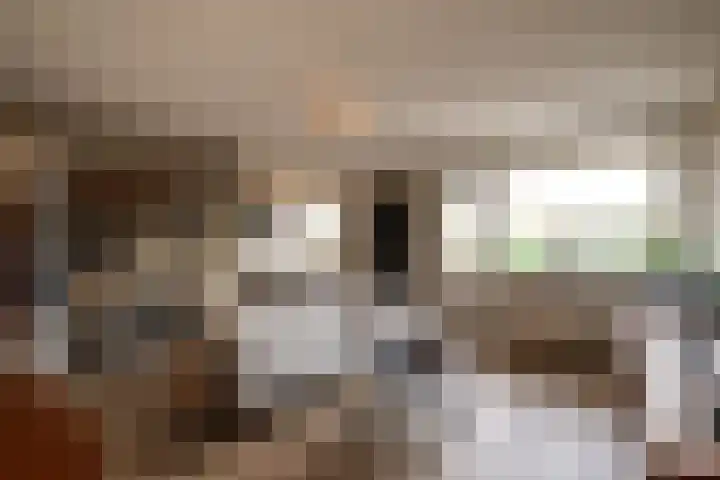 Terwaenen 36 Oss foto 2