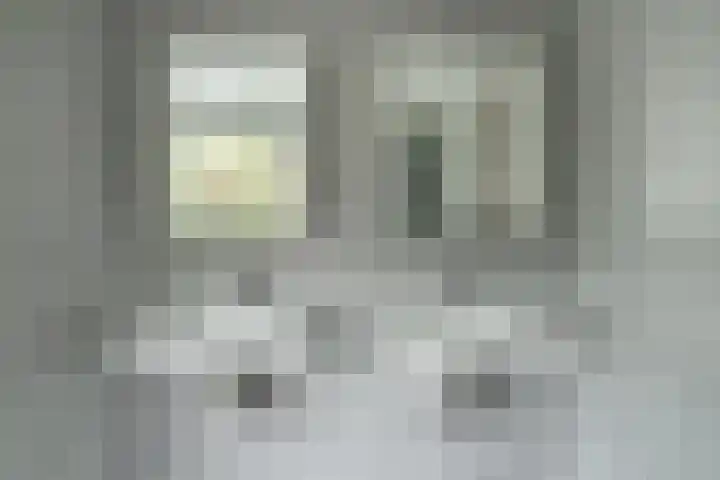Terwaenen 36 Oss foto 3
