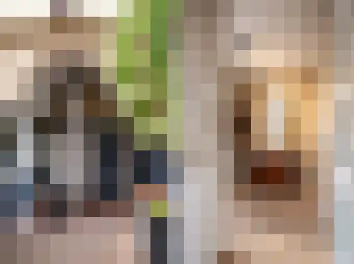 Terwaenen 36 Oss thumbnail 6