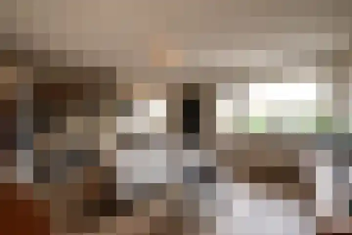 Terwaenen 36 Oss thumbnail 7
