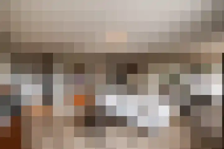 Terwaenen 36 Oss thumbnail 8