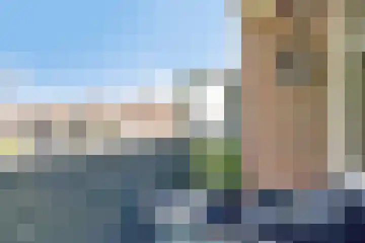 Terwaenen 42 Oss thumbnail 10
