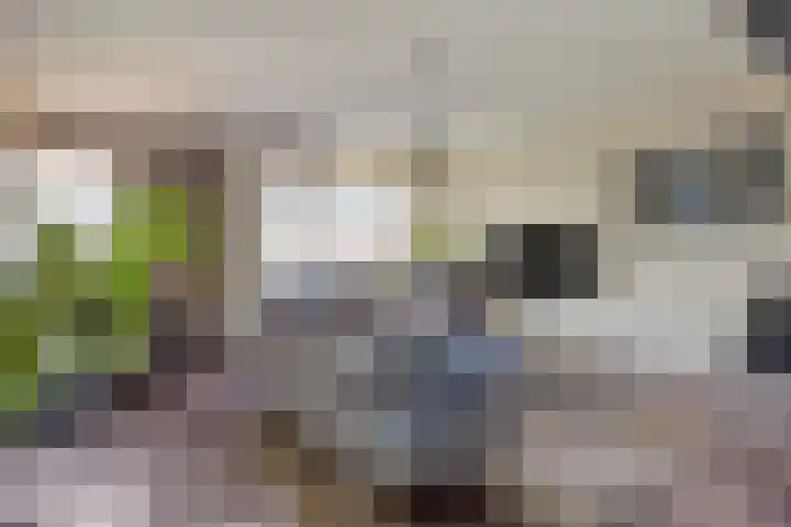 Terwaenen 42 Oss thumbnail 12
