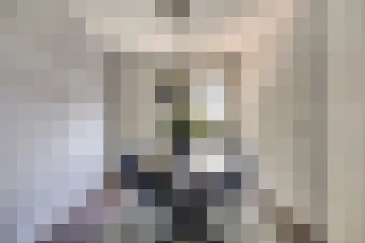 Terwaenen 42 Oss thumbnail 14