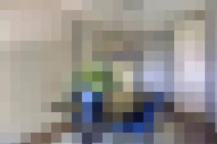 Terwaenen 42 Oss thumbnail 15